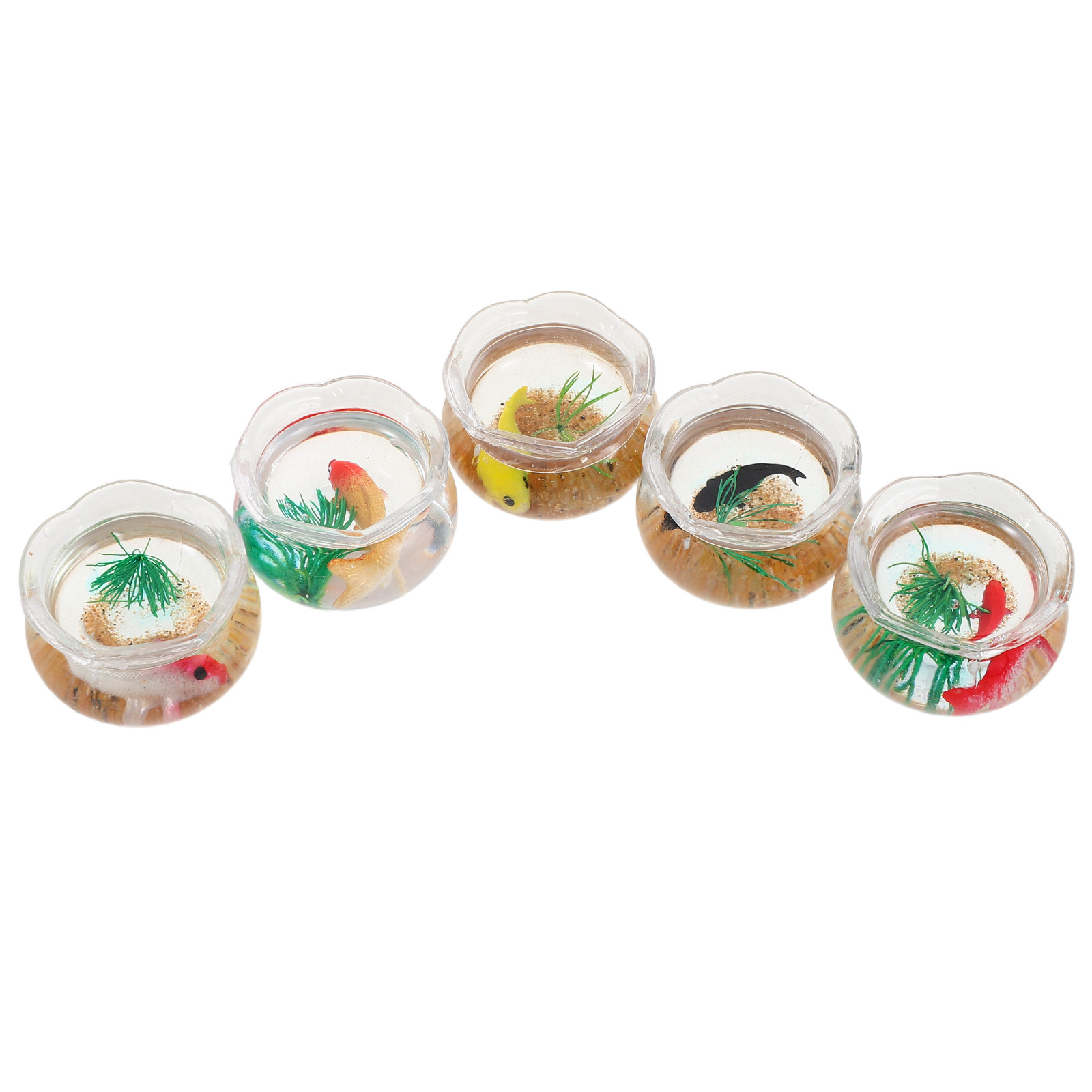 Planted Tank - 5pcs Mini Koi Fish Tank Set