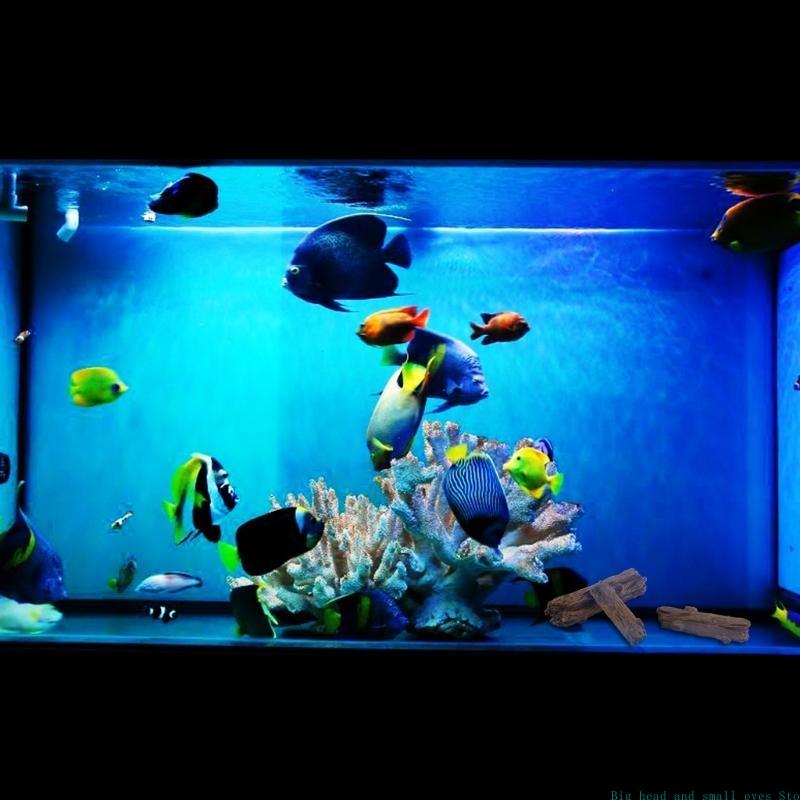Aquarium Decoration Tree Trunk - Aquarium Plant Substrate review and price