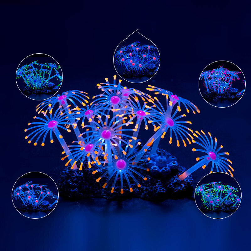 Silicone Glowing Landscape Art - Live Plant Aquarium review and price