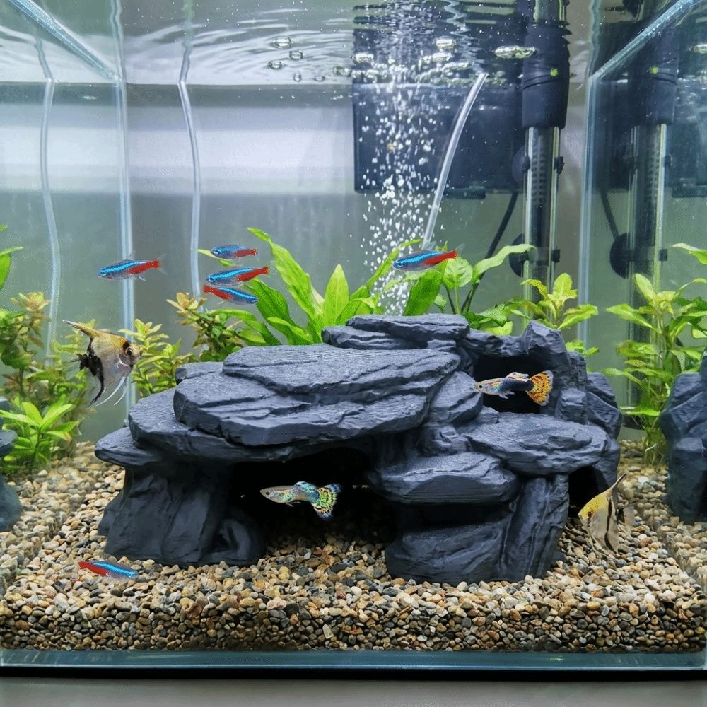3D Printing Fish Tank Rockery  - Aquarium Moss review and price