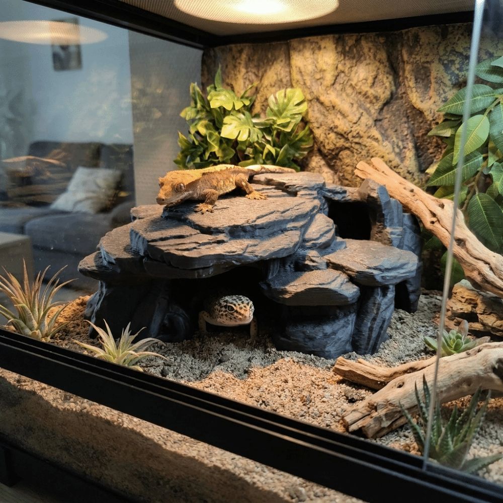 3D Printing Fish Tank Rockery  - Aquarium Moss review and price