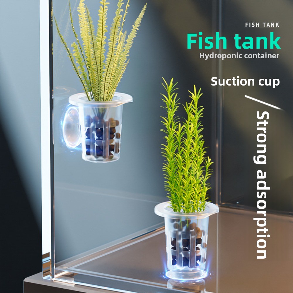10Pcs Transparent Plant Hydrop - Plant Aquarium Pot review and price