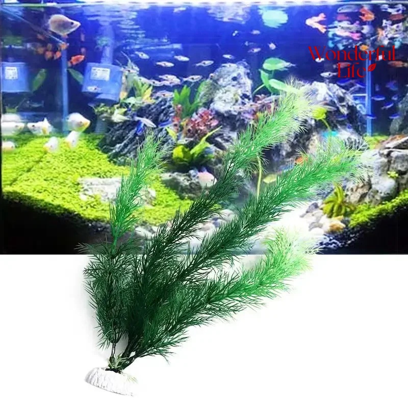 19/30CM Water Grass Aquatic Pl - Live Plant Aquarium review and price