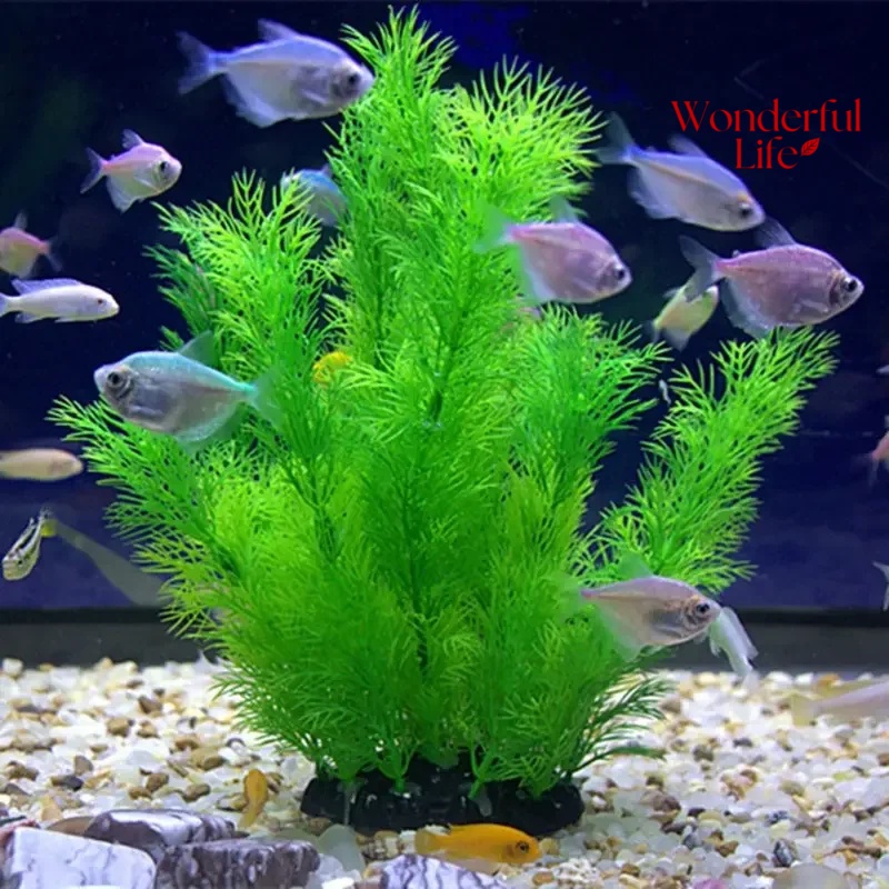 19/30CM Water Grass Aquatic Pl - Live Plant Aquarium review and price