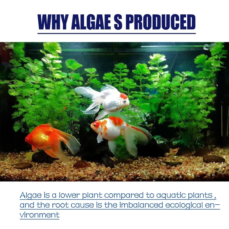 50g High Efficiency Algaecide  - Aquarium Liquid Carbon review and price