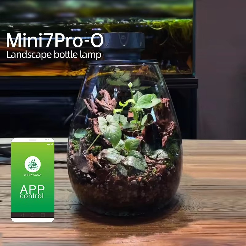 COB Microlandscape Plant Fill  - Planted Tank review and price