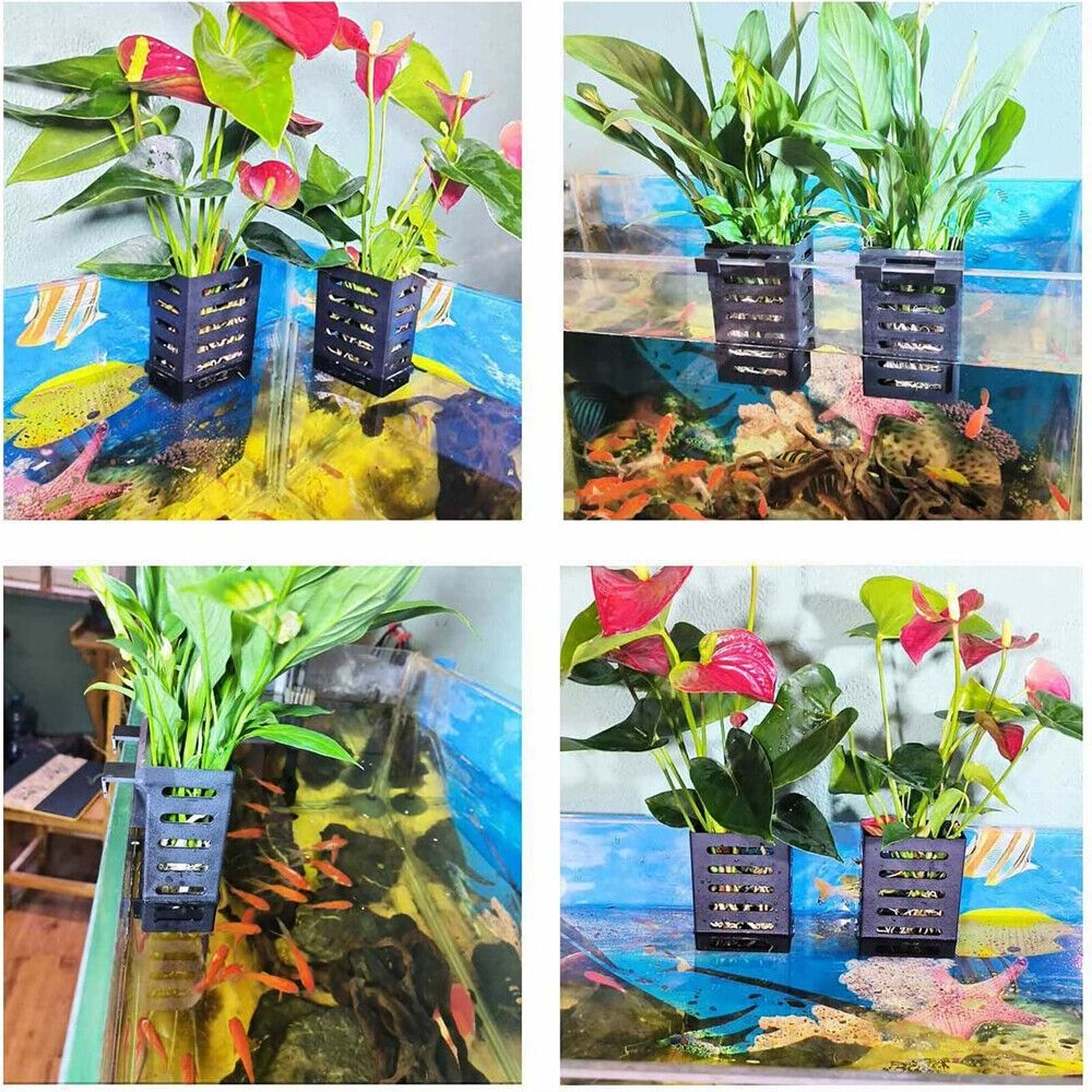 Aquarium Fish Tank Plant Holde - Aquarium Plant Holder review and price