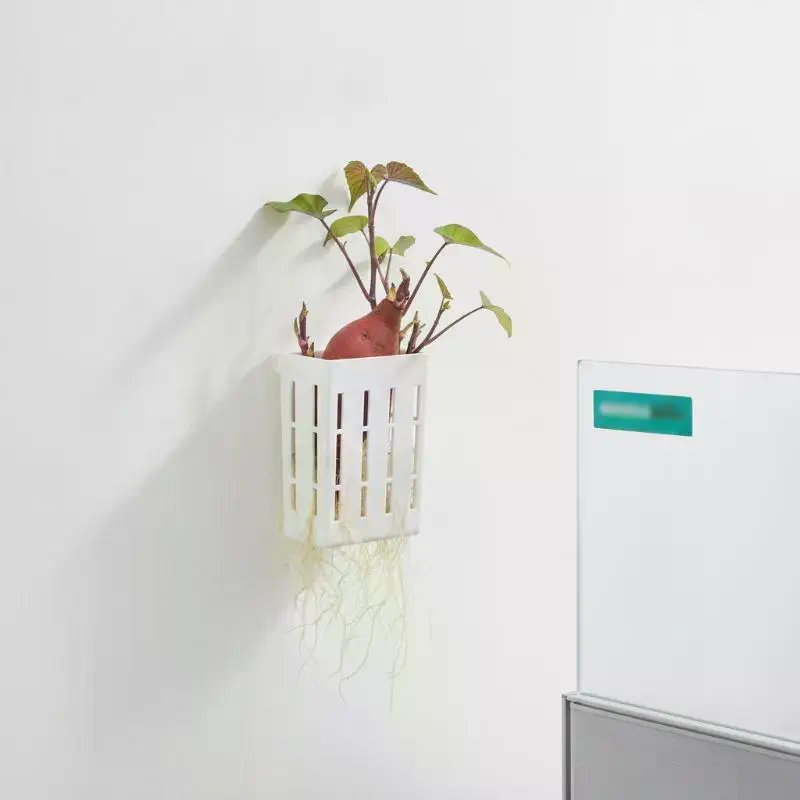 1Pcs Hydroponic Support Basket - Plant Aquarium Pot review and price