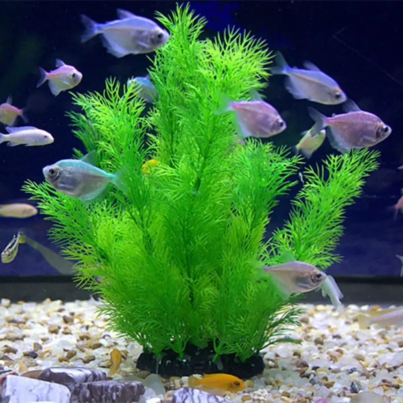 Artificial Aquarium Decor Plan - Aquarium Moss review and price