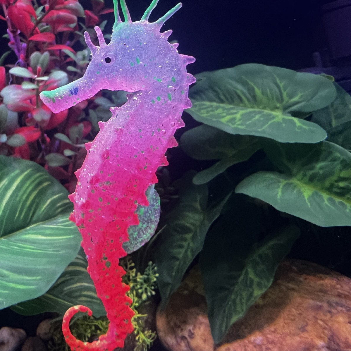 Simulated Luminous Seahorse Fi - Aquarium Plant Substrate review and price