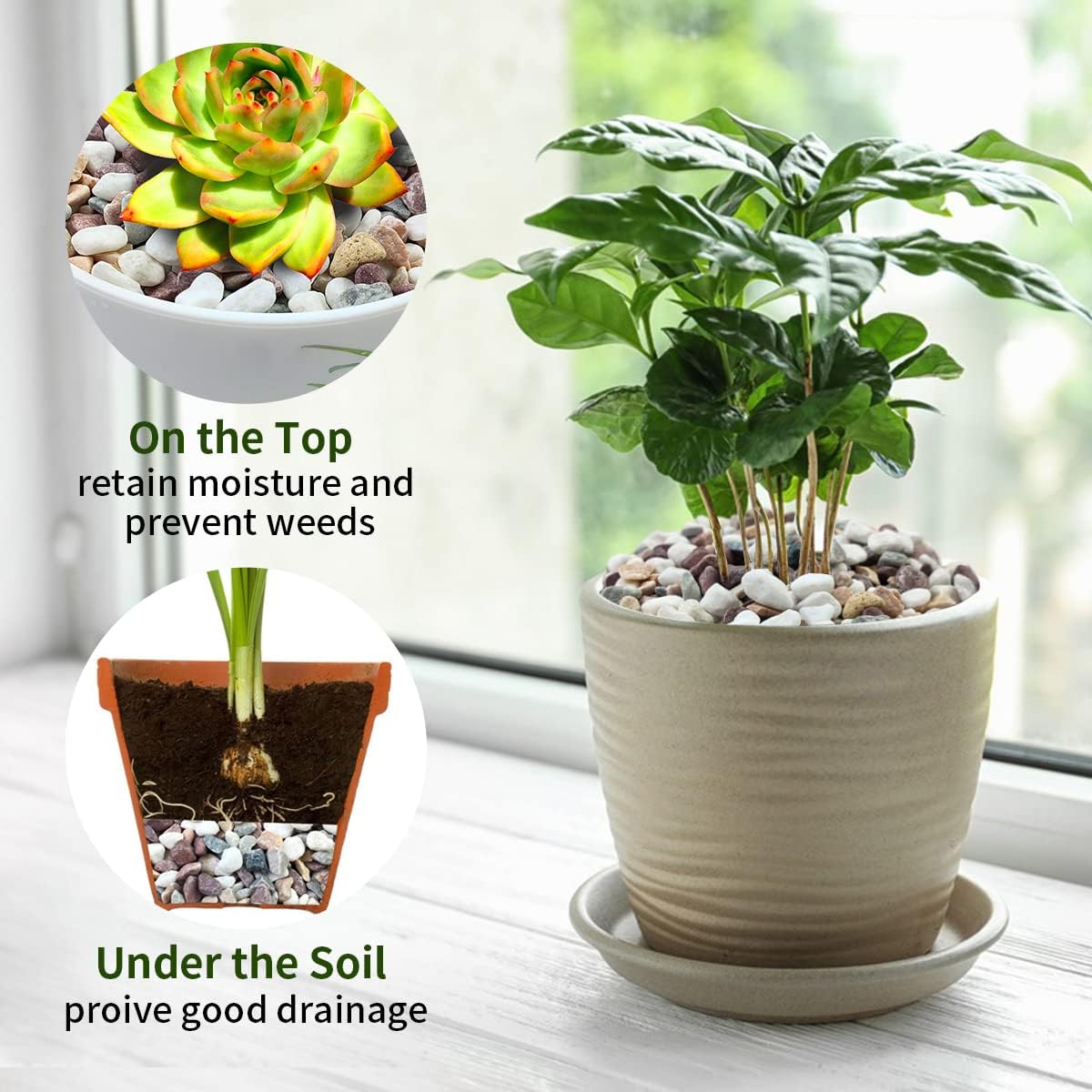 Mixed Color Gravel Stones Deco - Plant Aquarium Pot review and price