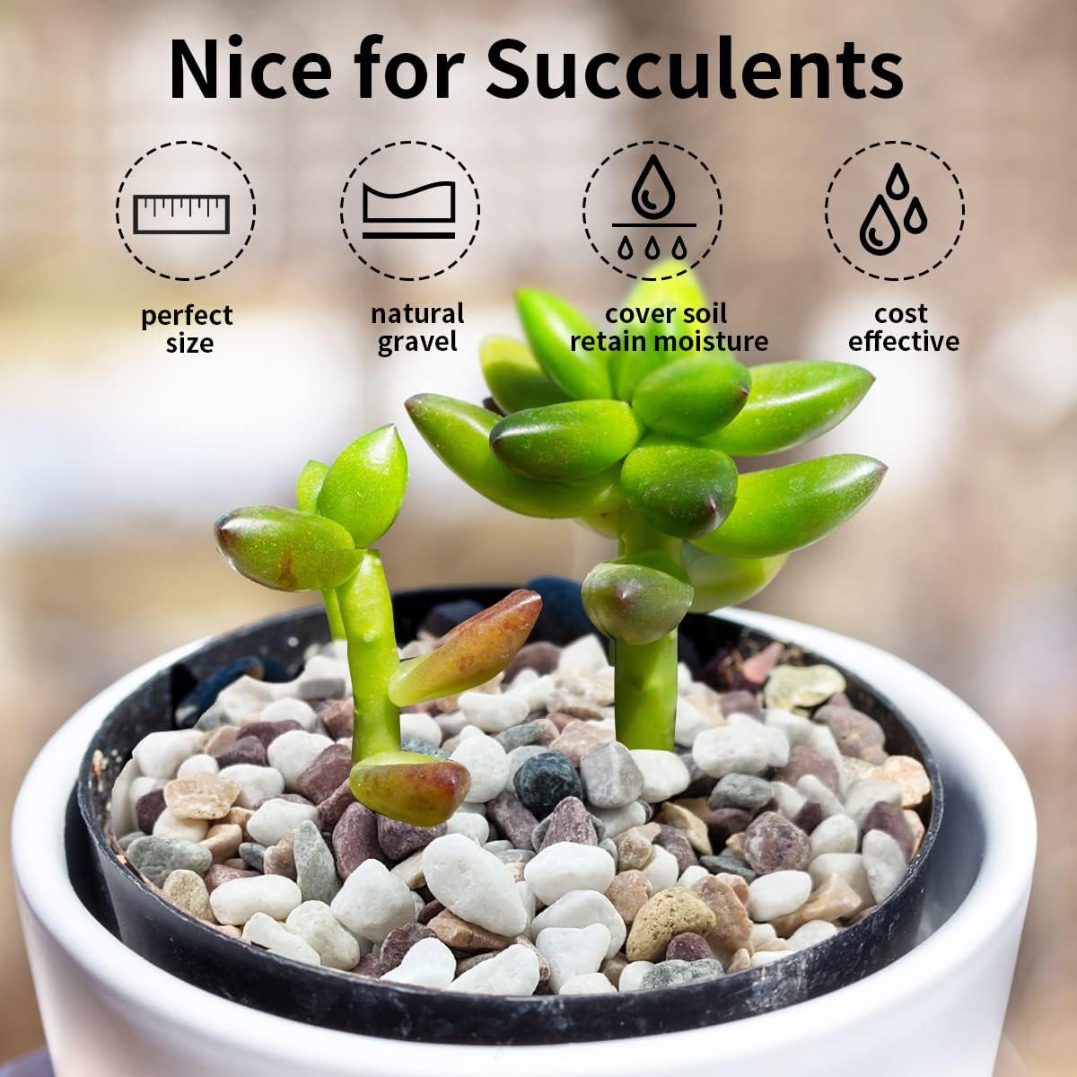 Mixed Color Gravel Stones Deco - Plant Aquarium Pot review and price