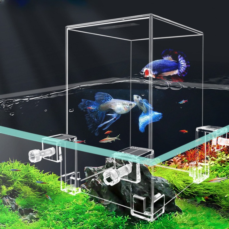Creative Aquarium Tanks Negati - Plant Aquarium Pot review and price