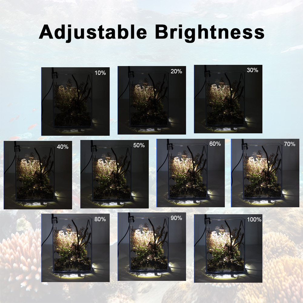 LED Clip-On Fish Tank Light Sm - Aquarium Plant Light review and price
