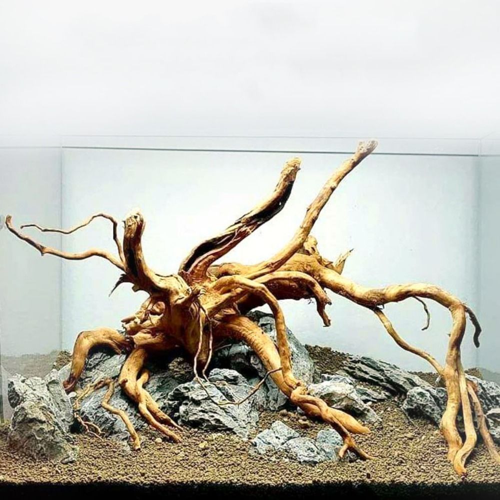 20-25CM Large Aquarium Driftwo - Aquarium Driftwood review and price
