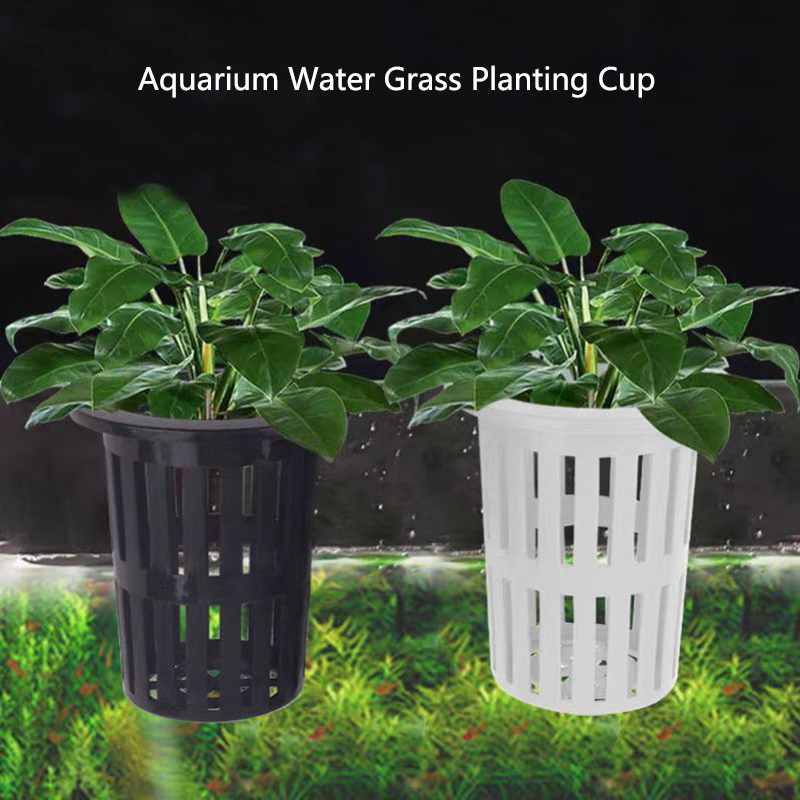 1/3Pcs Aquarium Plant Basket W - Aquarium Plants Live review and price