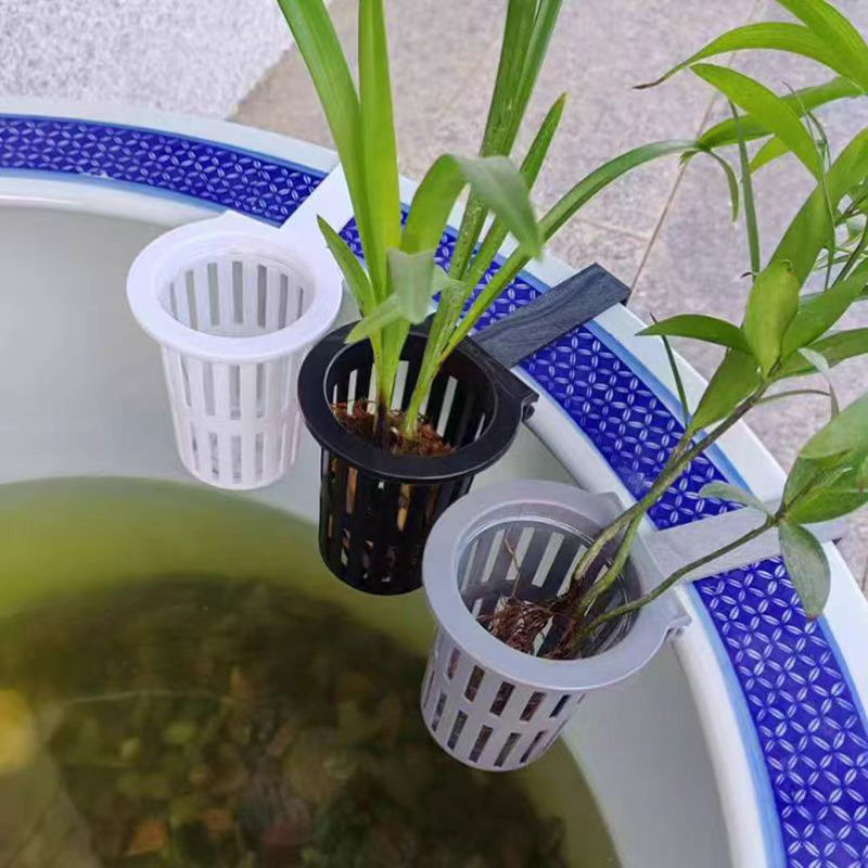 1/3Pcs Aquarium Plant Basket W - Aquarium Plants Live review and price