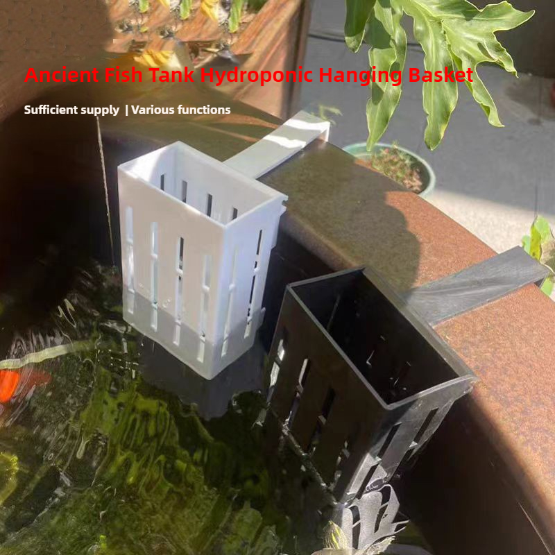 1/3Pcs Aquarium Plant Basket W - Aquarium Plants Live review and price