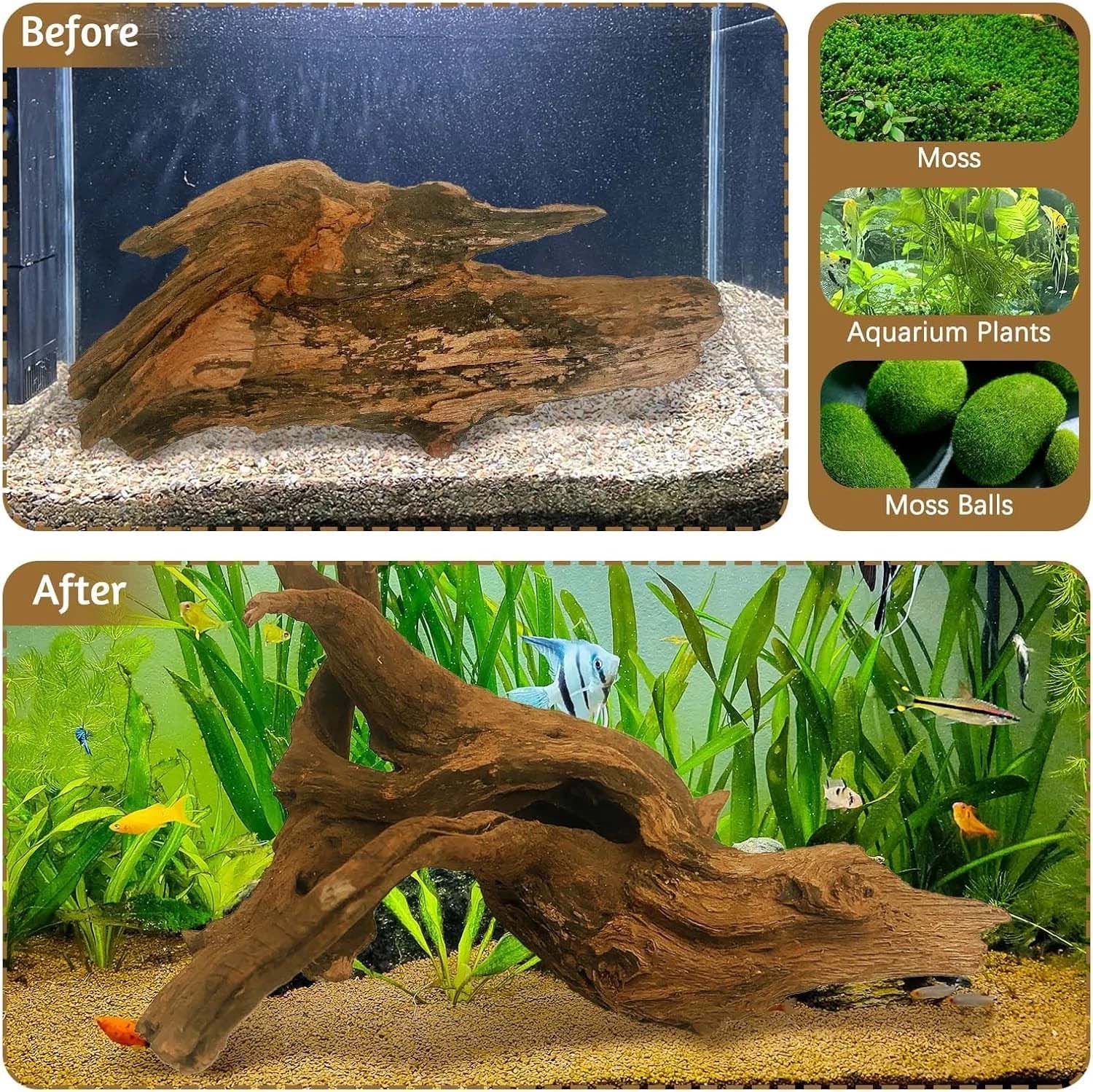 15-20CM 1Pc Natural Driftwood  - Aquarium Plants Live review and price