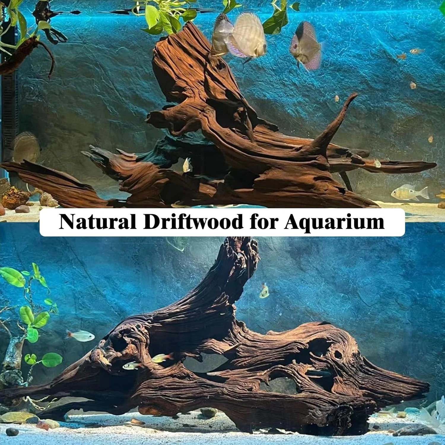 15-20CM 1Pc Natural Driftwood  - Aquarium Plants Live review and price