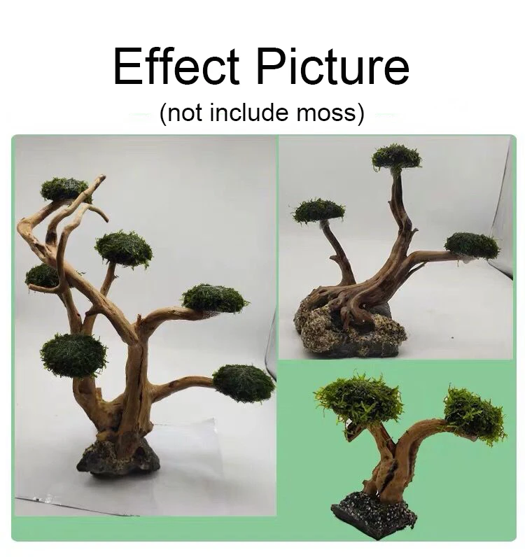 Aquarium Driftwood Landscaping - Aquarium Moss review and price