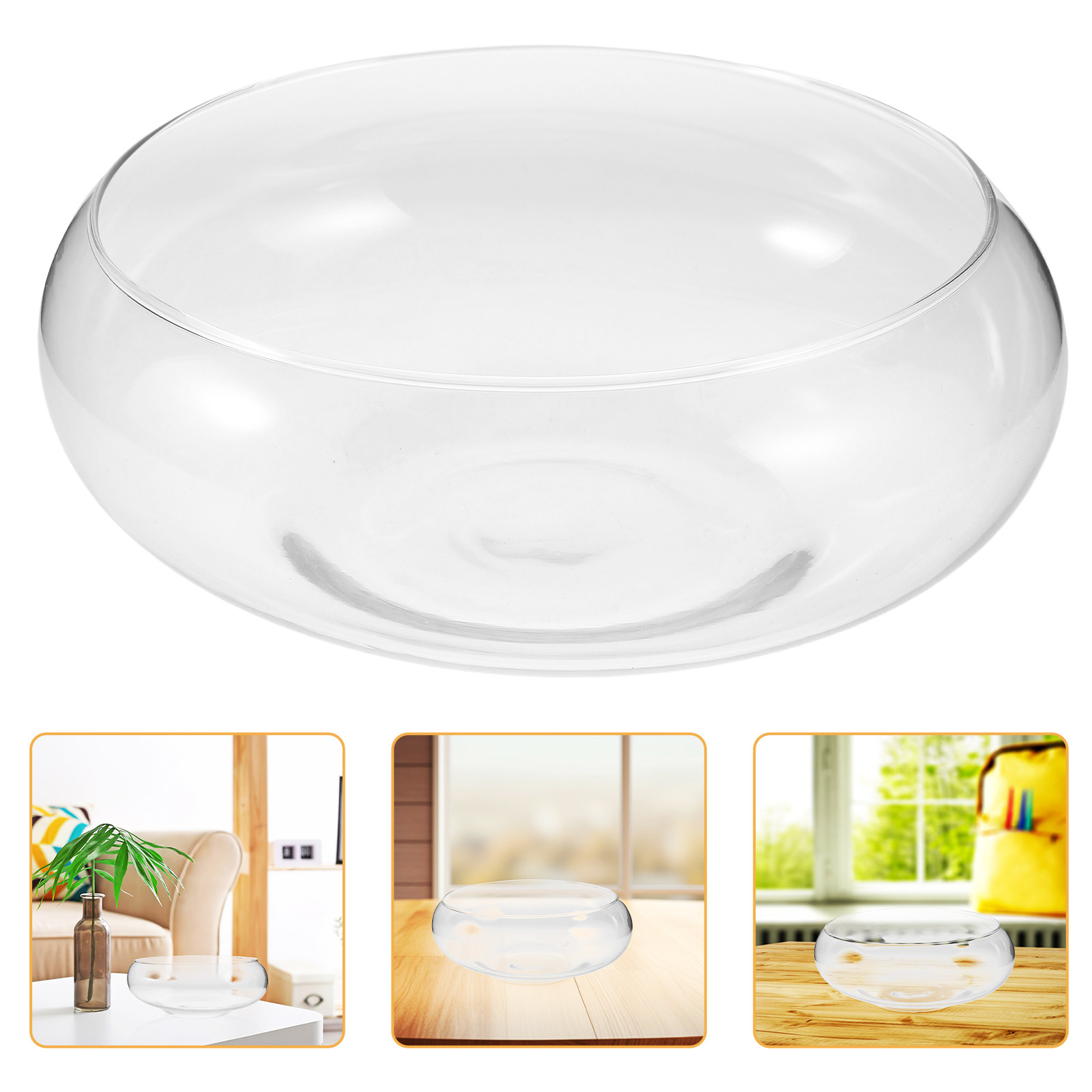 Glass Hydroponic Planter Bowl  - Planted Tank review and price