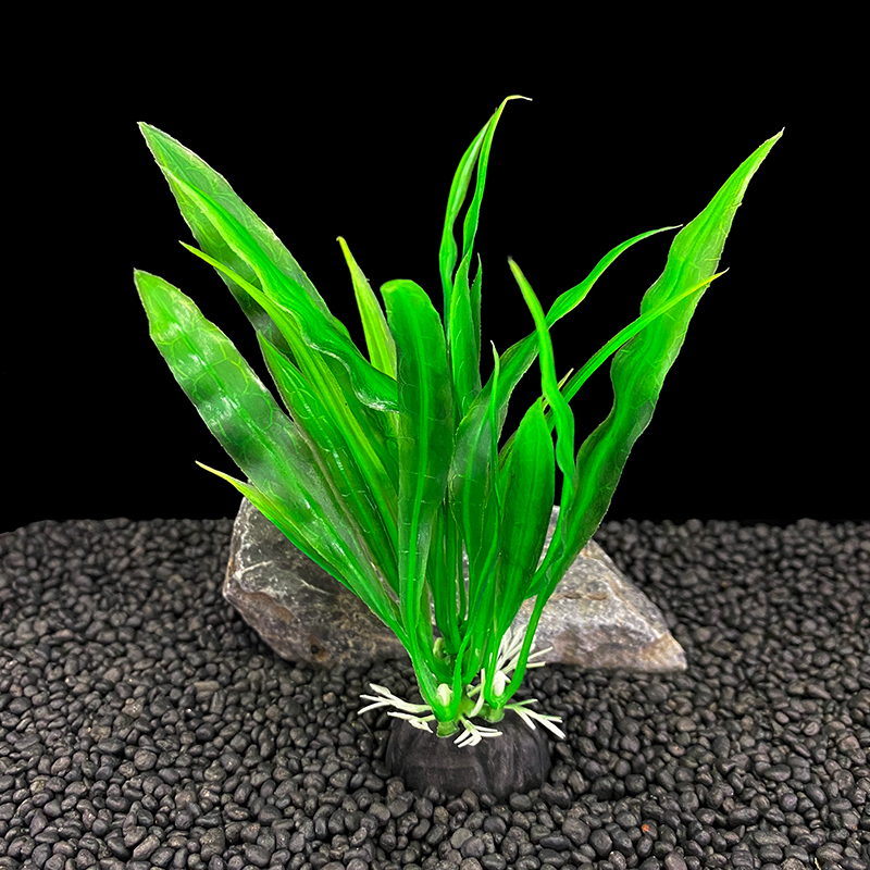 6pcs Packs Aquarium Plants, Fi - Aquarium Moss review and price